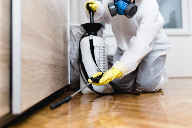 Pest Prevention Services in Morristown, NJ