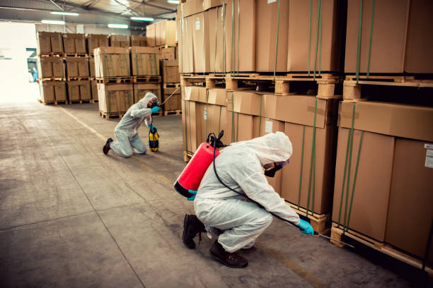 Reliable Morristown, NJ Pest Control Solutions