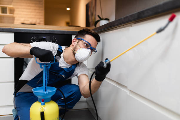 Best Cockroach Control Services  in Morristown, NJ