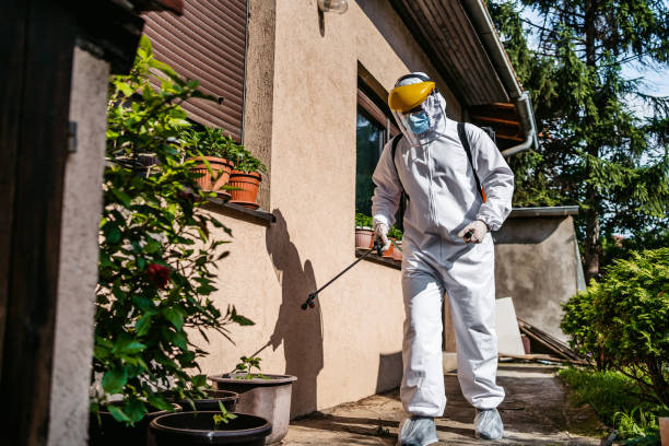 Best Residential Pest Control  in Morristown, NJ