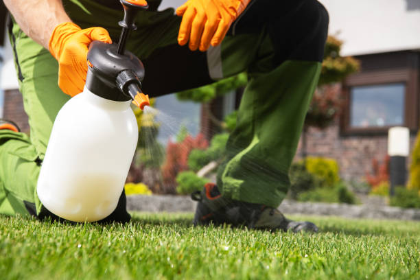 Best Pest Removal Services  in Morristown, NJ