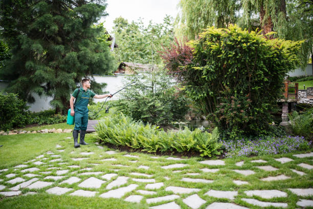 Best Affordable Pest Control Services  in Morristown, NJ
