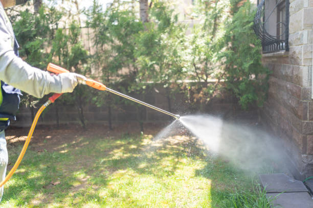  Morristown, NJ Pest Control Pros
