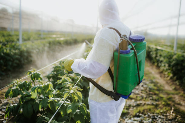 Best Pest Inspection Near Me  in Morristown, NJ